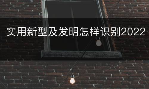 实用新型及发明怎样识别2022