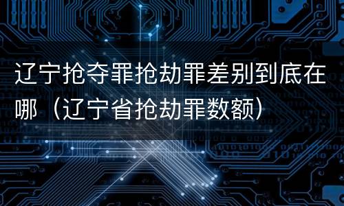 辽宁抢夺罪抢劫罪差别到底在哪（辽宁省抢劫罪数额）