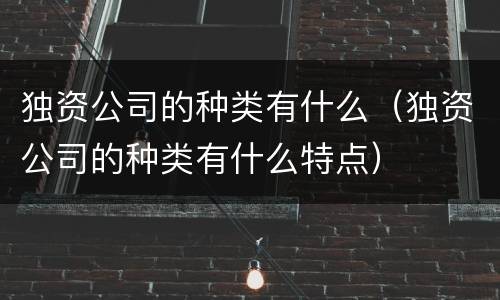 独资公司的种类有什么（独资公司的种类有什么特点）