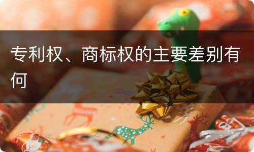 专利权、商标权的主要差别有何