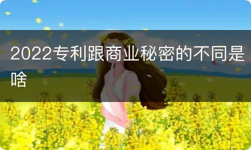 2022专利跟商业秘密的不同是啥