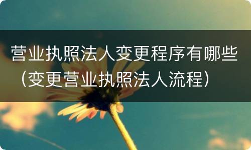 营业执照法人变更程序有哪些(变更营业执照法人流程)