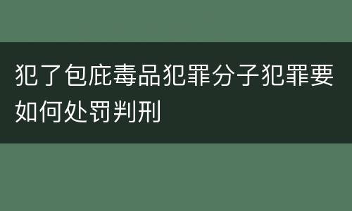 犯了包庇毒品犯罪分子犯罪要如何处罚判刑
