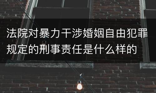 法院对暴力干涉婚姻自由犯罪规定的刑事责任是什么样的