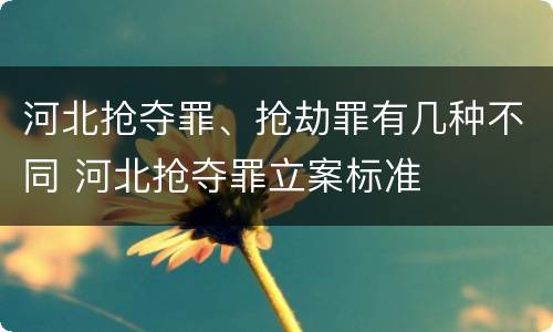 河北抢夺罪、抢劫罪有几种不同 河北抢夺罪立案标准