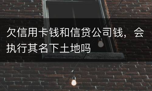 欠信用卡钱和信贷公司钱，会执行其名下土地吗