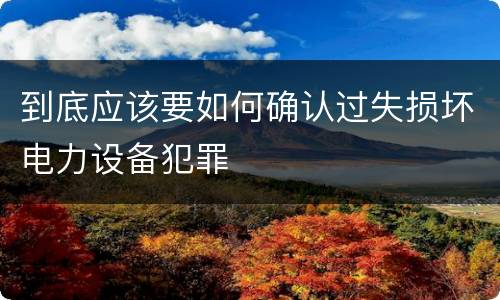 到底应该要如何确认过失损坏电力设备犯罪