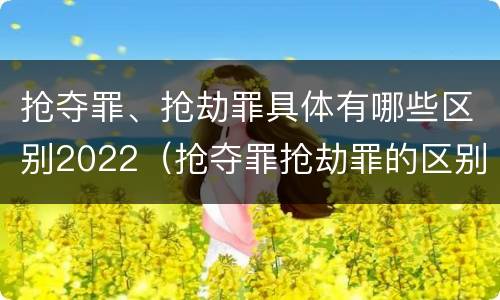 抢夺罪、抢劫罪具体有哪些区别2022（抢夺罪抢劫罪的区别）