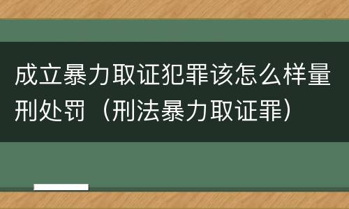 成立暴力取证犯罪该怎么样量刑处罚（刑法暴力取证罪）