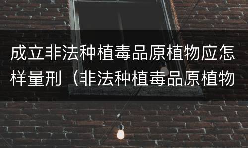 成立非法种植毒品原植物应怎样量刑（非法种植毒品原植物罪中的种植行为）