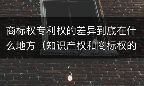 商标权专利权的差异到底在什么地方（知识产权和商标权的区别）