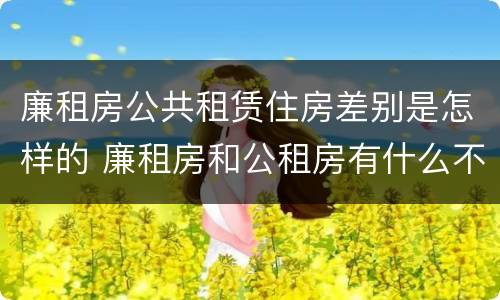 廉租房公共租赁住房差别是怎样的 廉租房和公租房有什么不同?