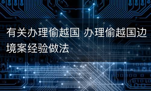 有关办理偷越国 办理偷越国边境案经验做法