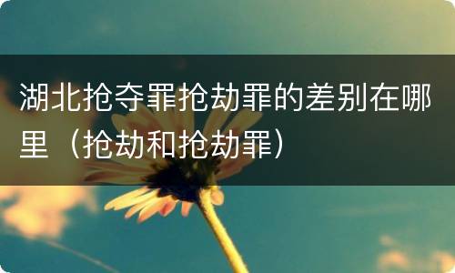 湖北抢夺罪抢劫罪的差别在哪里（抢劫和抢劫罪）