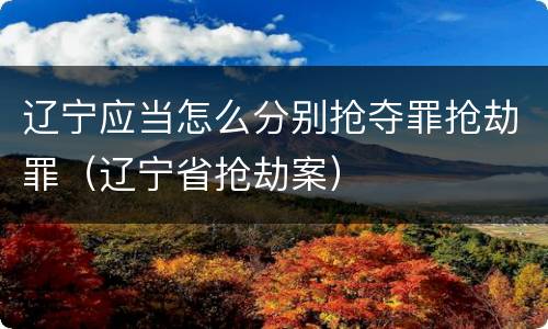 辽宁应当怎么分别抢夺罪抢劫罪（辽宁省抢劫案）