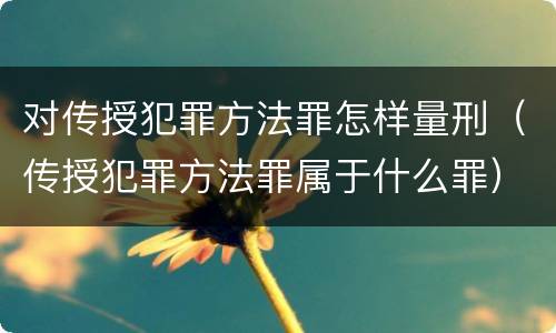 对传授犯罪方法罪怎样量刑（传授犯罪方法罪属于什么罪）