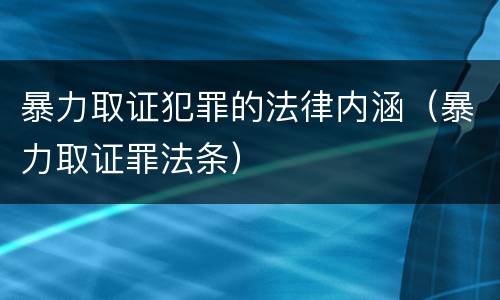 暴力取证犯罪的法律内涵（暴力取证罪法条）