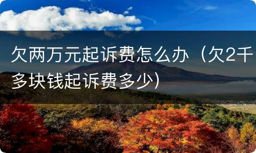 欠两万元起诉费怎么办（欠2千多块钱起诉费多少）