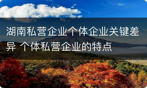 湖南私营企业个体企业关键差异 个体私营企业的特点
