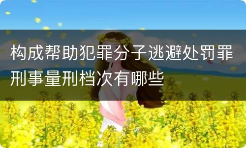 构成帮助犯罪分子逃避处罚罪刑事量刑档次有哪些