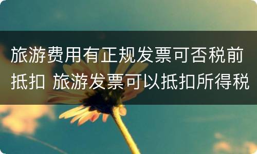旅游费用有正规发票可否税前抵扣 旅游发票可以抵扣所得税吗