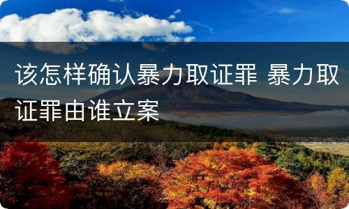 该怎样确认暴力取证罪 暴力取证罪由谁立案