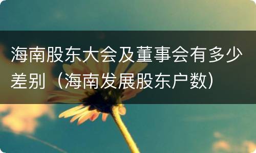 海南股东大会及董事会有多少差别（海南发展股东户数）