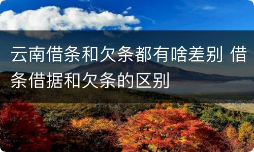 云南借条和欠条都有啥差别 借条借据和欠条的区别