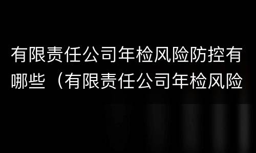 有限责任公司年检风险防控有哪些（有限责任公司年检风险防控有哪些措施）