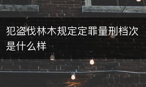 犯盗伐林木规定定罪量刑档次是什么样