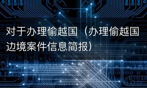 对于办理偷越国（办理偷越国边境案件信息简报）