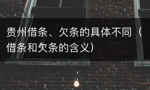 贵州借条、欠条的具体不同（借条和欠条的含义）
