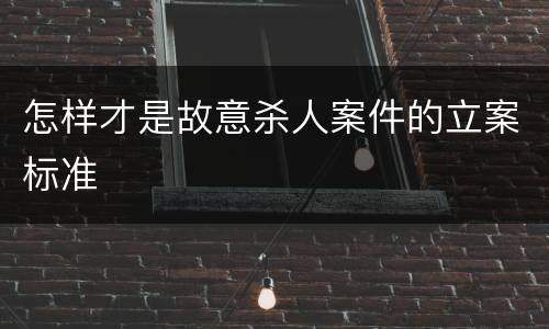 怎样才是故意杀人案件的立案标准