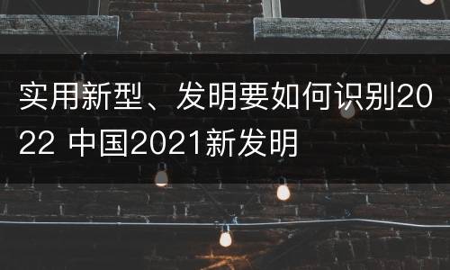 实用新型、发明要如何识别2022 中国2021新发明