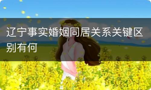 辽宁事实婚姻同居关系关键区别有何
