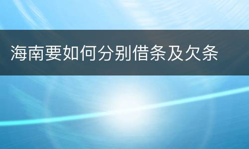 海南要如何分别借条及欠条
