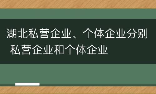 湖北私营企业、个体企业分别 私营企业和个体企业