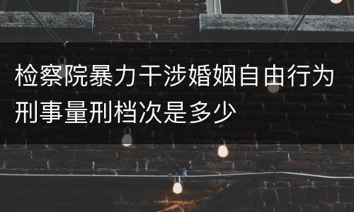 检察院暴力干涉婚姻自由行为刑事量刑档次是多少