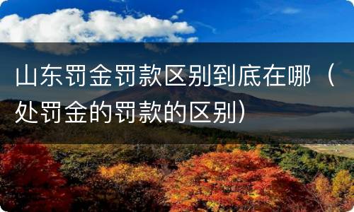 山东罚金罚款区别到底在哪（处罚金的罚款的区别）