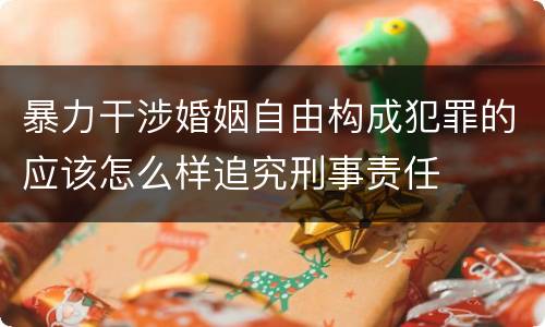 暴力干涉婚姻自由构成犯罪的应该怎么样追究刑事责任