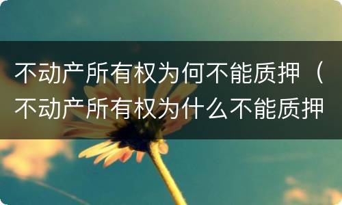 不动产所有权为何不能质押（不动产所有权为什么不能质押）