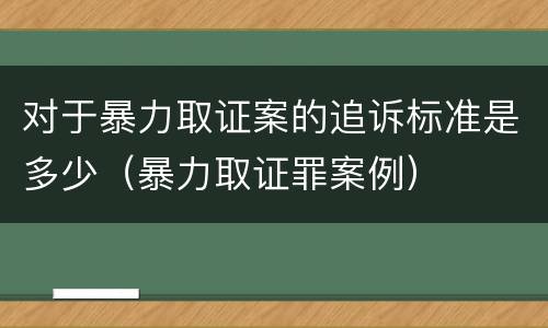 对于暴力取证案的追诉标准是多少（暴力取证罪案例）
