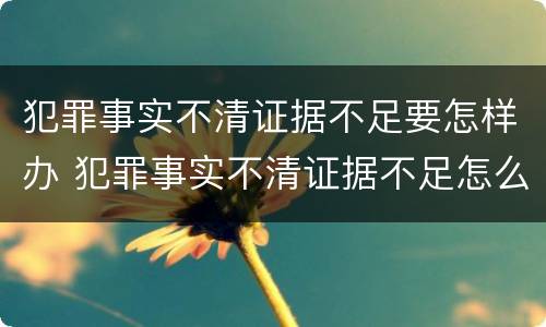 犯罪事实不清证据不足要怎样办 犯罪事实不清证据不足怎么办