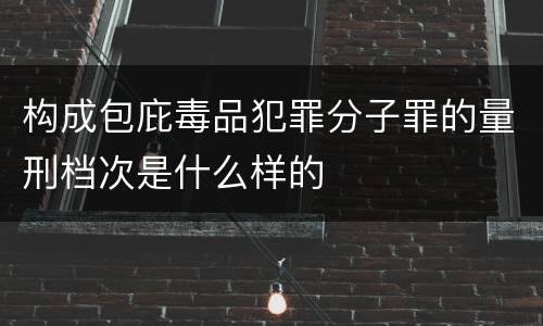 构成包庇毒品犯罪分子罪的量刑档次是什么样的