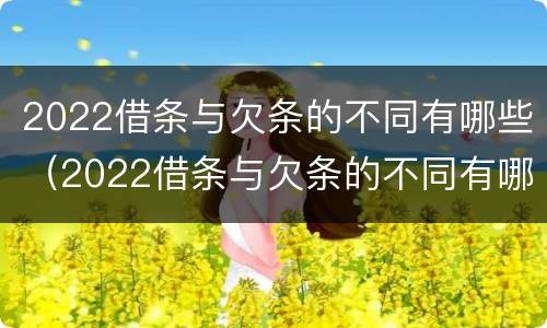 2022借条与欠条的不同有哪些（2022借条与欠条的不同有哪些法律规定）