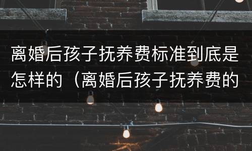 离婚后孩子抚养费标准到底是怎样的（离婚后孩子抚养费的标准是多少）