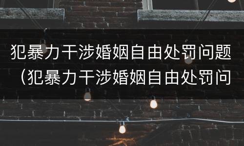 犯暴力干涉婚姻自由处罚问题（犯暴力干涉婚姻自由处罚问题有哪些）