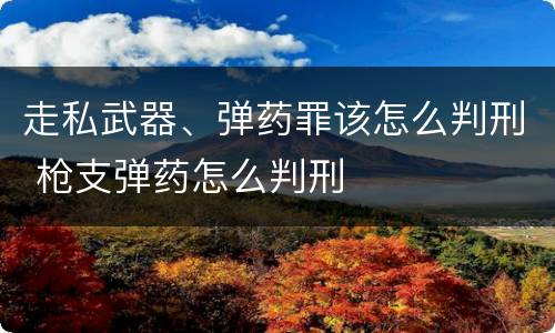 走私武器、弹药罪该怎么判刑 枪支弹药怎么判刑