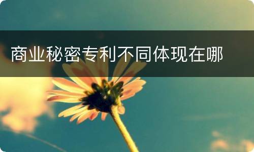 商业秘密专利不同体现在哪