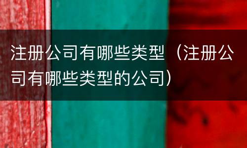 注册公司有哪些类型（注册公司有哪些类型的公司）